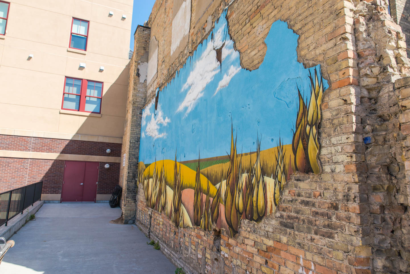 npschmidt final 8843