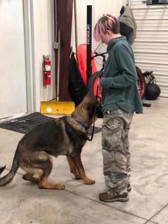 preview gallery 4D1E7FEF 61ED 4742 AECF