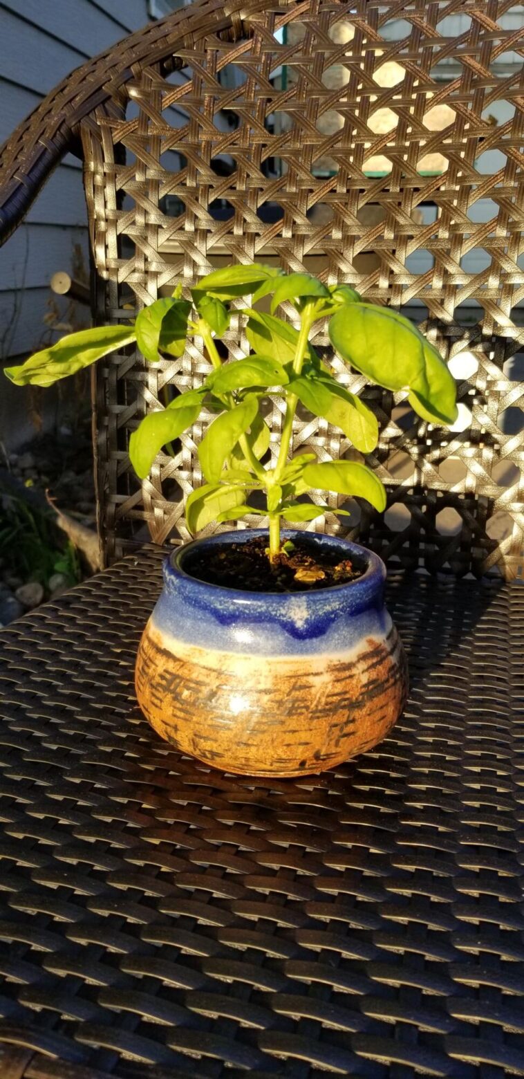 Copper Sun planter preview maxWidth 1000 maxHeight 2000 ppi 72