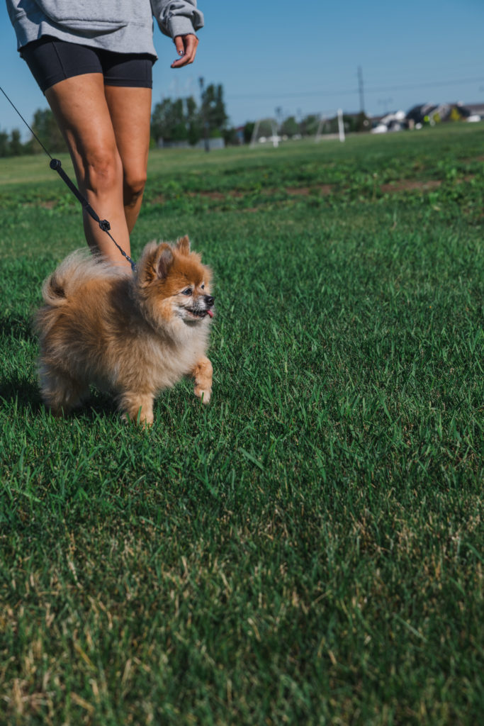 GNodland Morning walk final 0286
