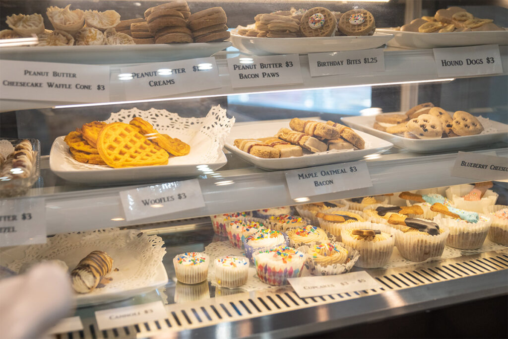 a day in the life of ollie 19