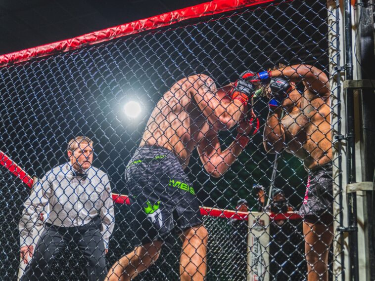 web featured image 86