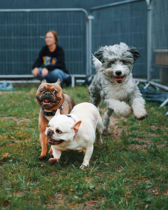 MF Dec25 JadePresents 1