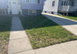 PrecisionLawn Before