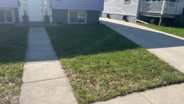 PrecisionLawn Before