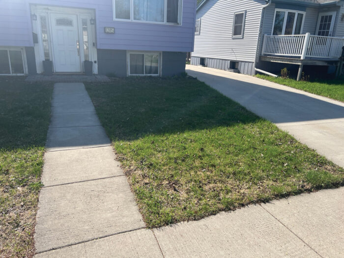 PrecisionLawn Before