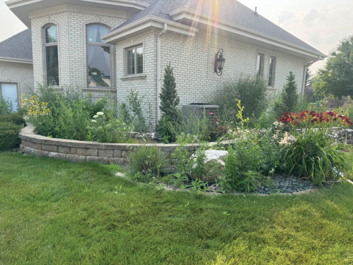 PrecisionLawn Before 2