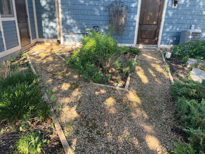 PrecisionLawn Before 3 1